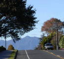 Morrinsville Town Views